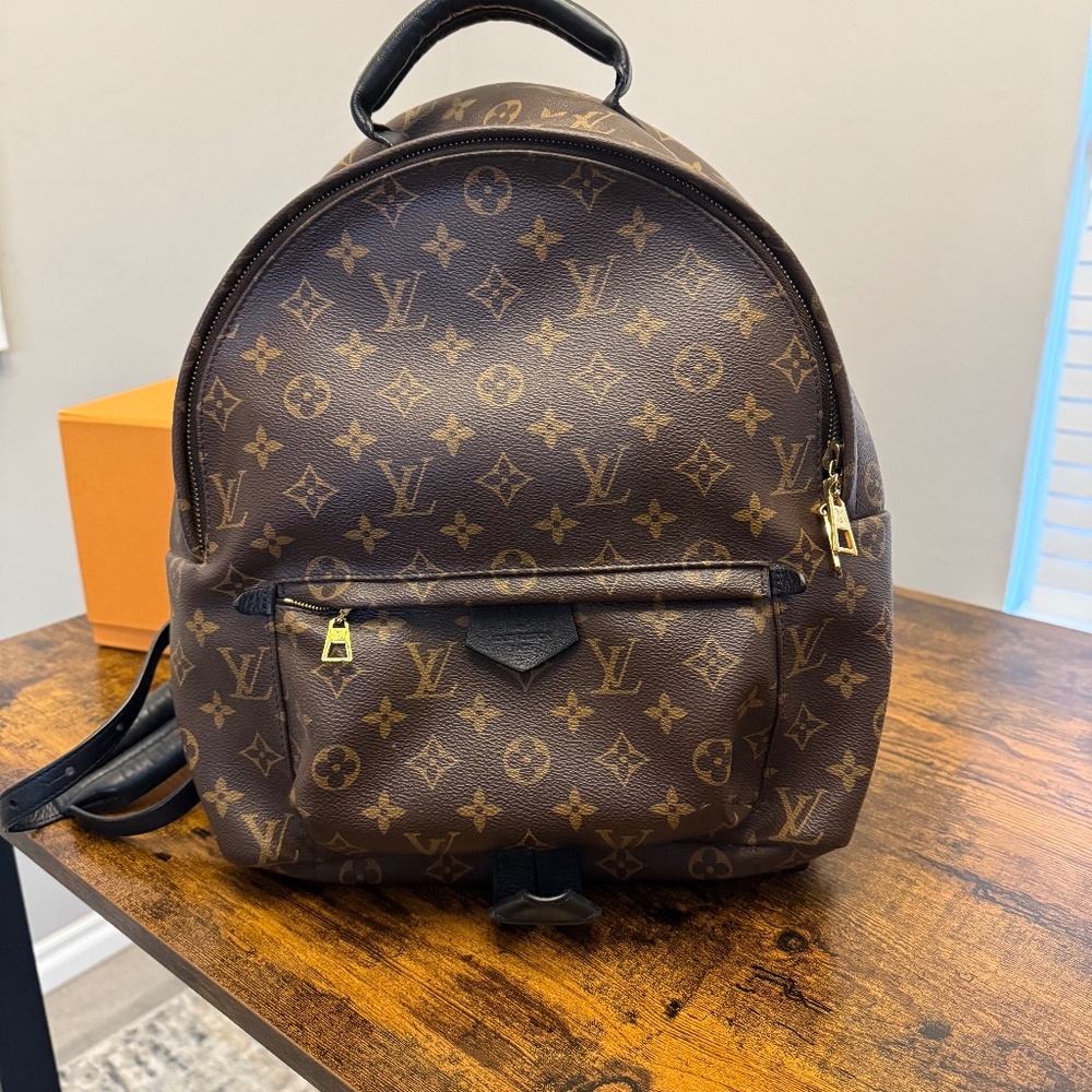 Palm Springs Louis Vuitton backpack mm
